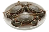 Menu Thumbnail